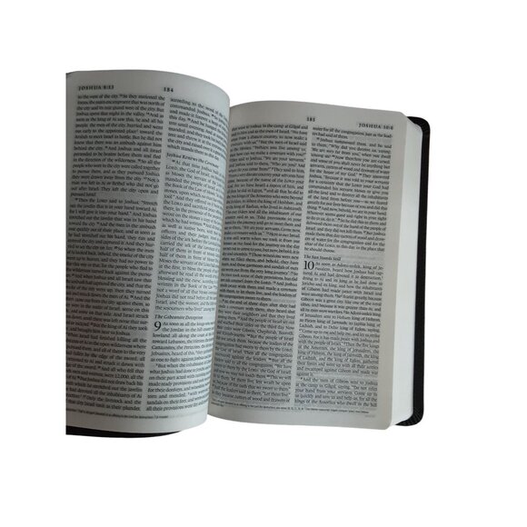 ESV Premium Gift Bible TruTone Midnight Flame Design English Standard Version - Picture 8 of 12